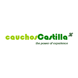 Logo Cauchos Castilla